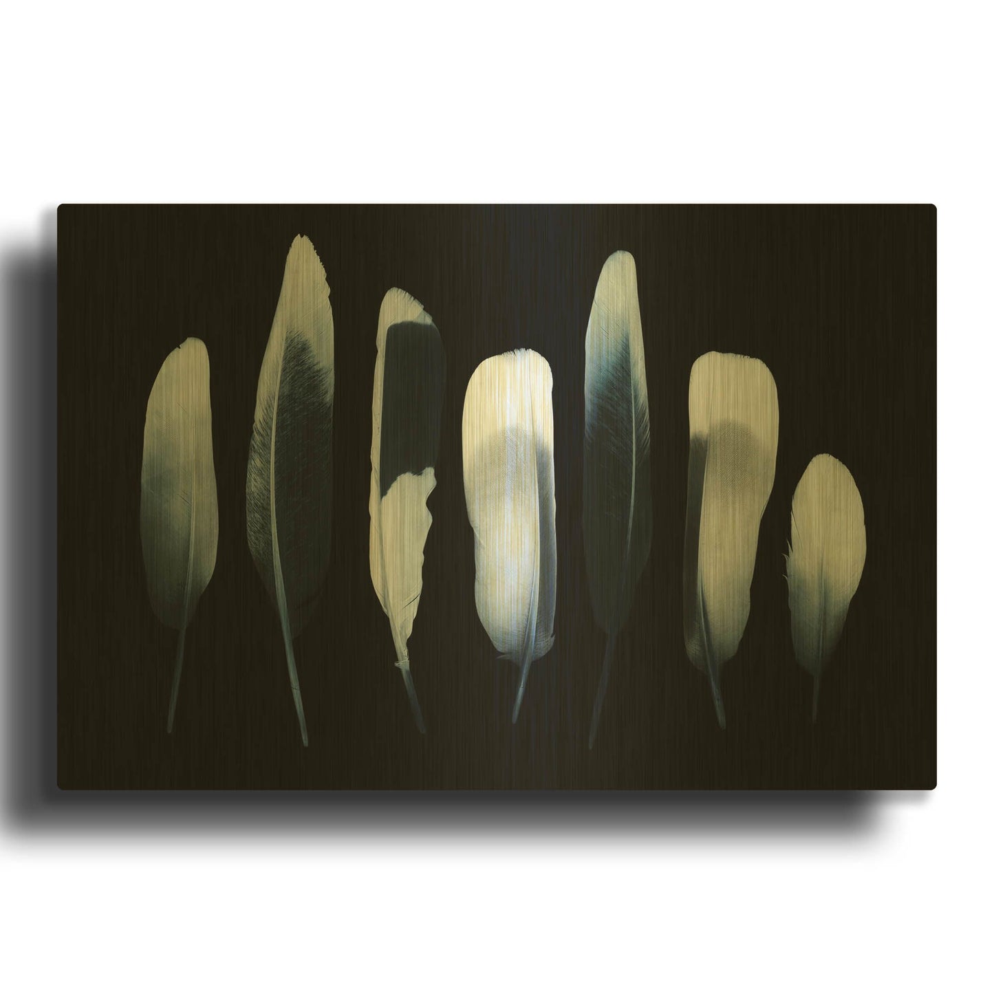 'Feathers' By Incado Gold Metal Wall Art