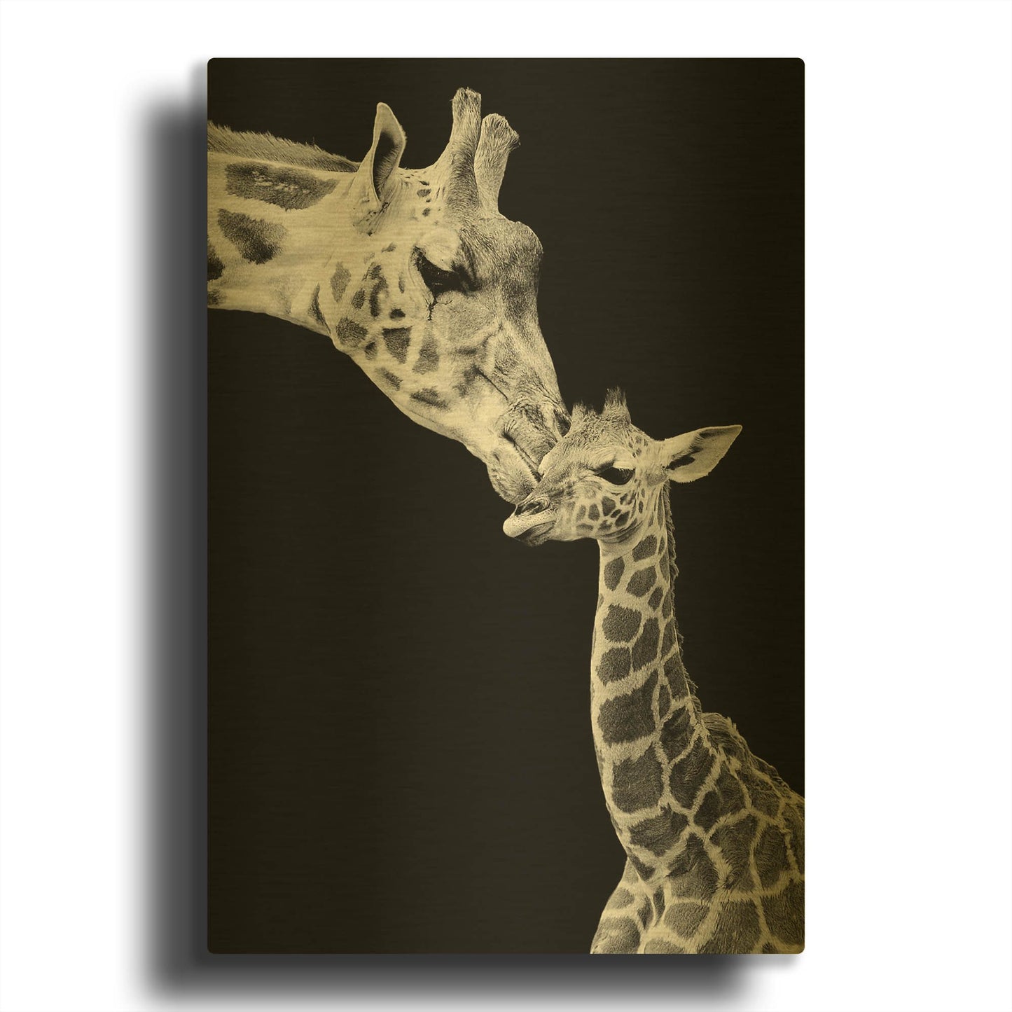 'First Love - Giraffe' By Incado Gold Metal Wall Art