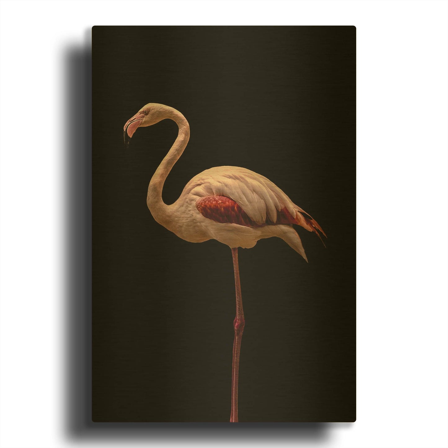 'Flamingo' By Incado Gold Metal Wall Art