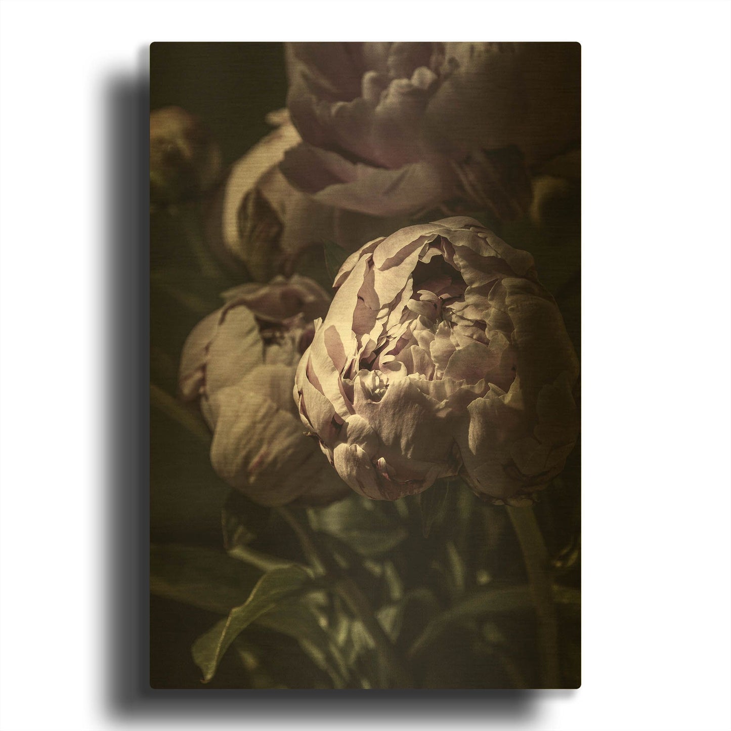 'Flower 3' By Incado Gold Metal Wall Art