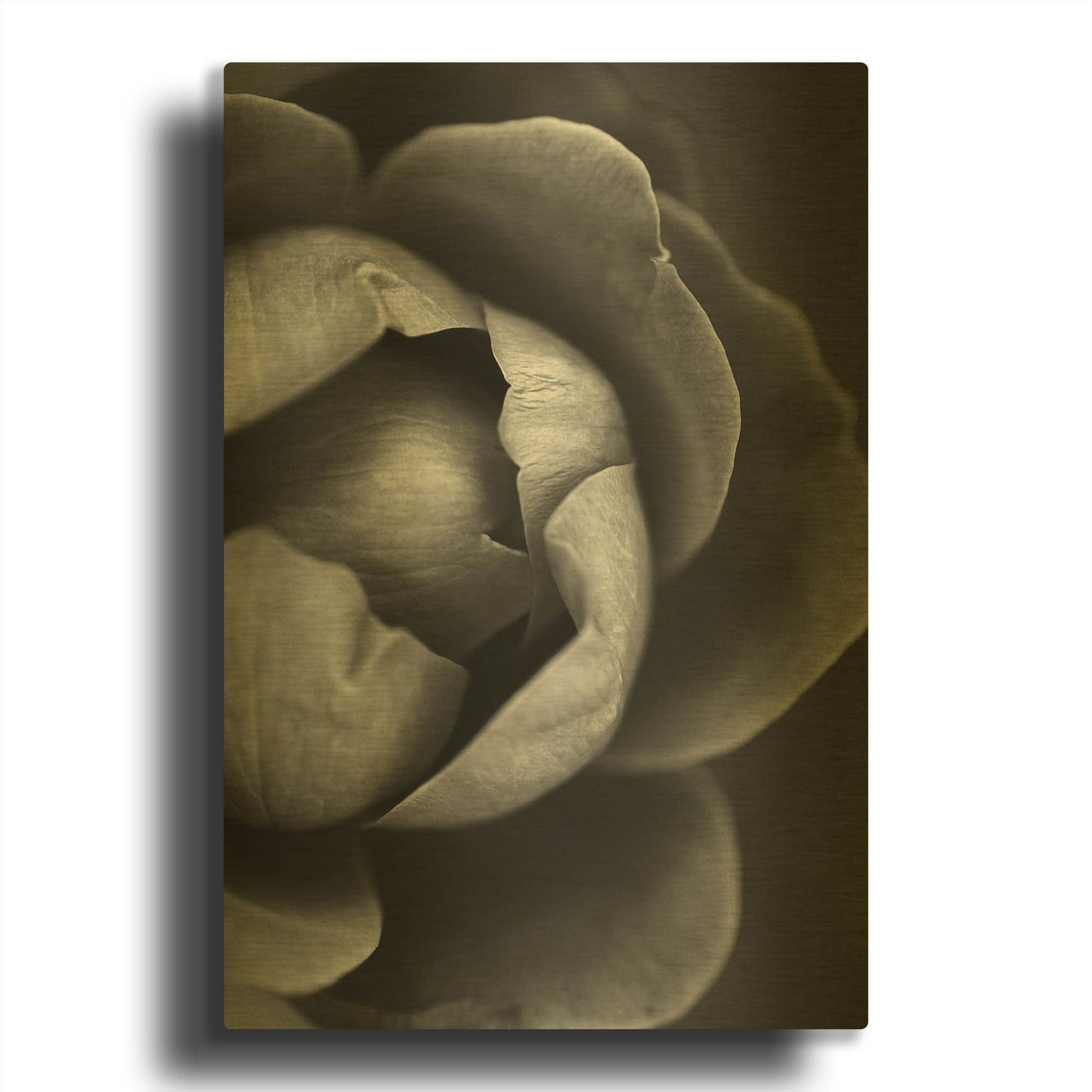 'Flower Bloom' By Incado Gold Metal Wall Art