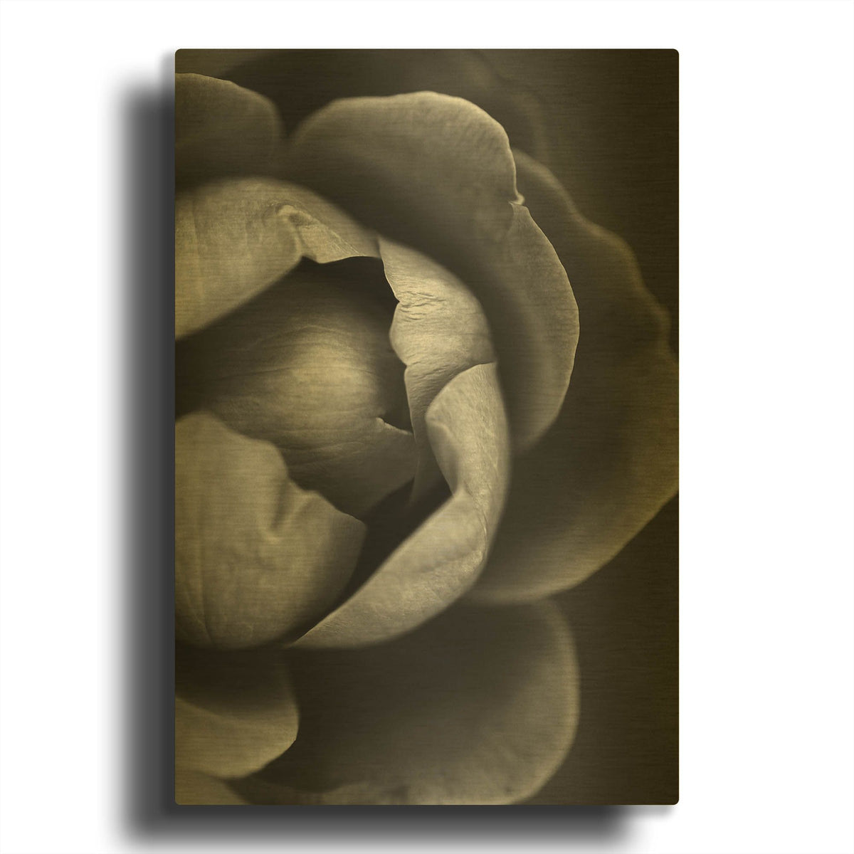 'Flower Bloom' By Incado Gold Metal Wall Art