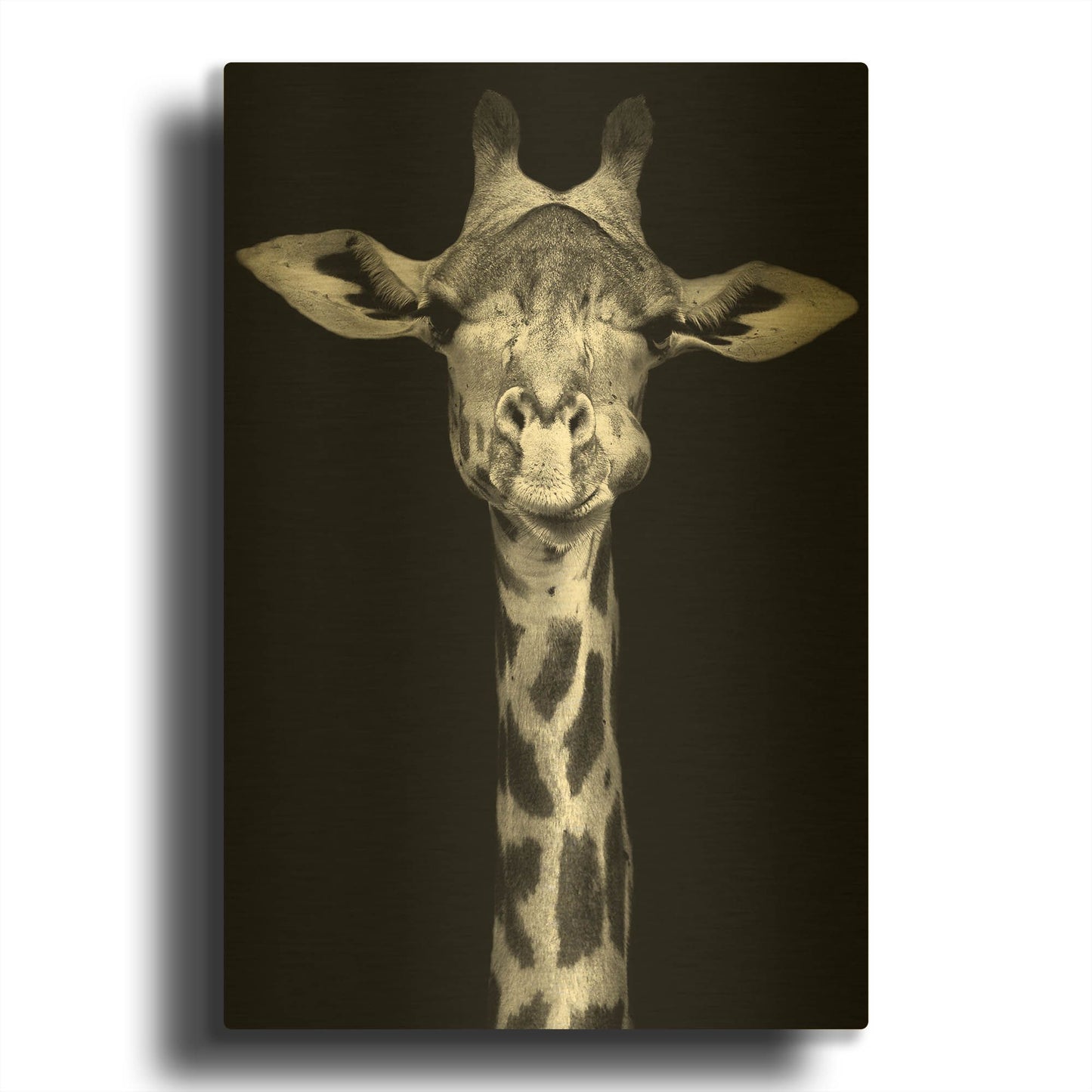 'Giraffe' By Incado Gold Metal Wall Art