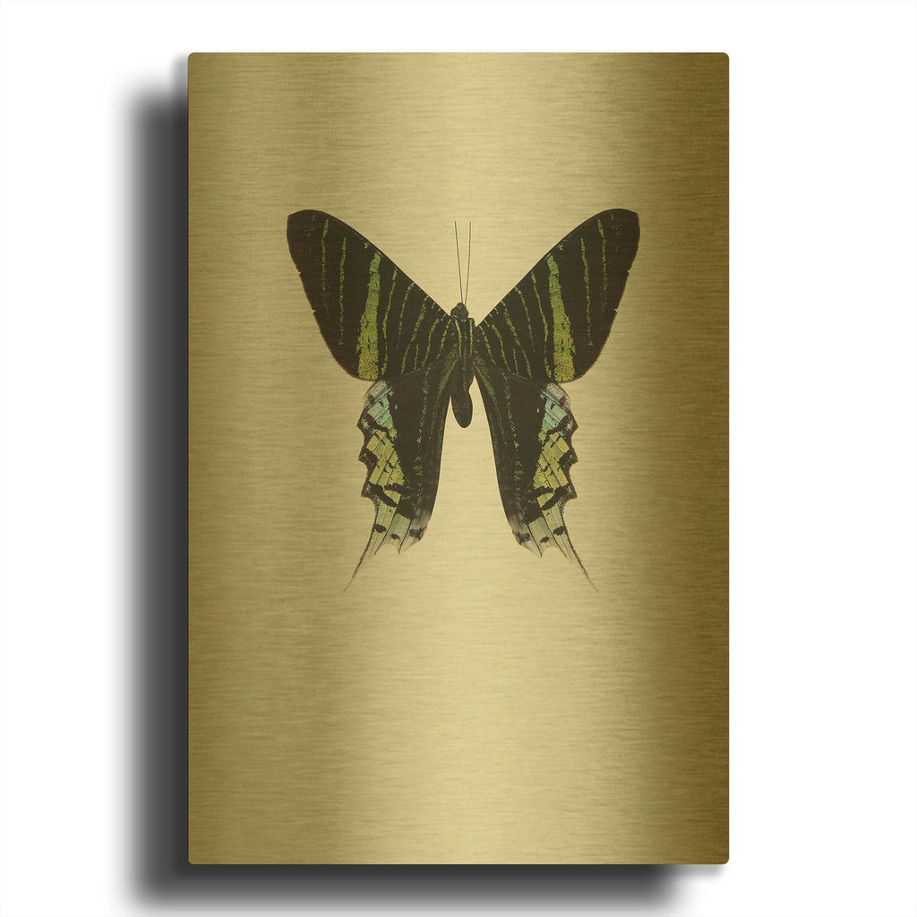 'Green Butterfly' By Incado Gold Metal Wall Art