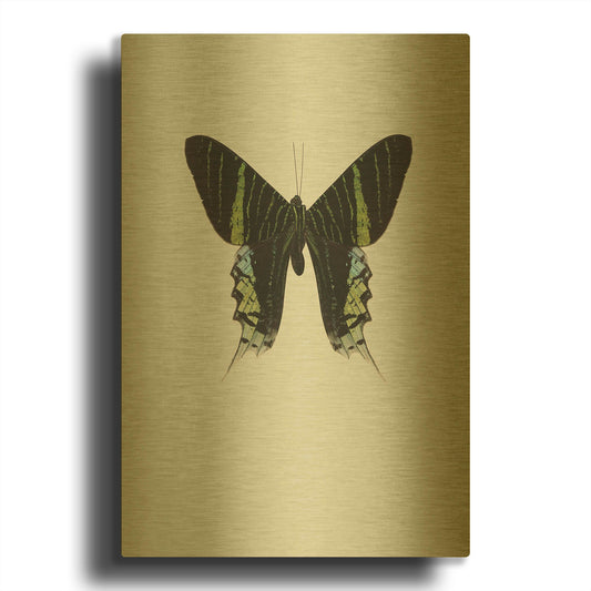 'Green Butterfly' By Incado Gold Metal Wall Art