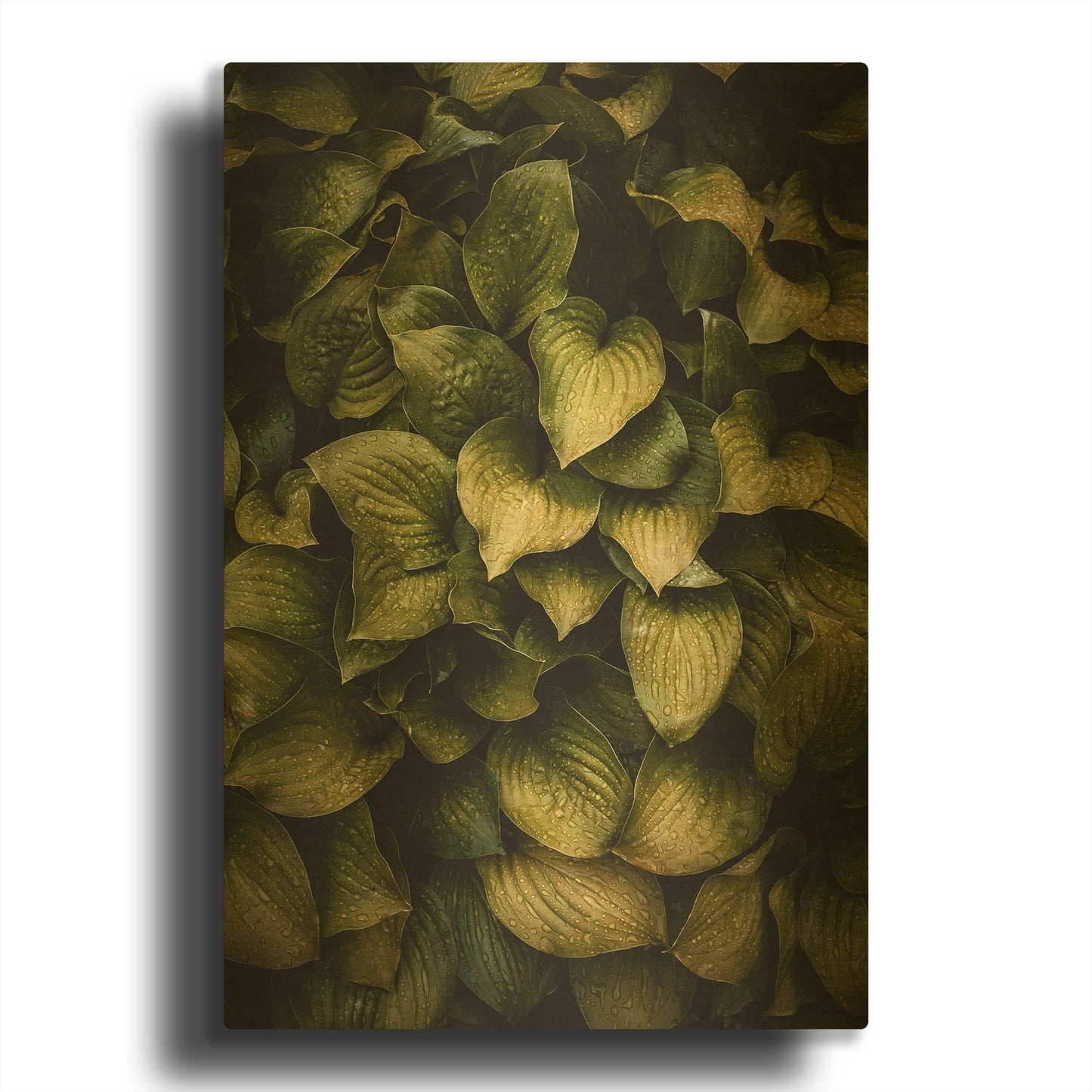 'Hostas Leaves' By Incado Gold Metal Wall Art