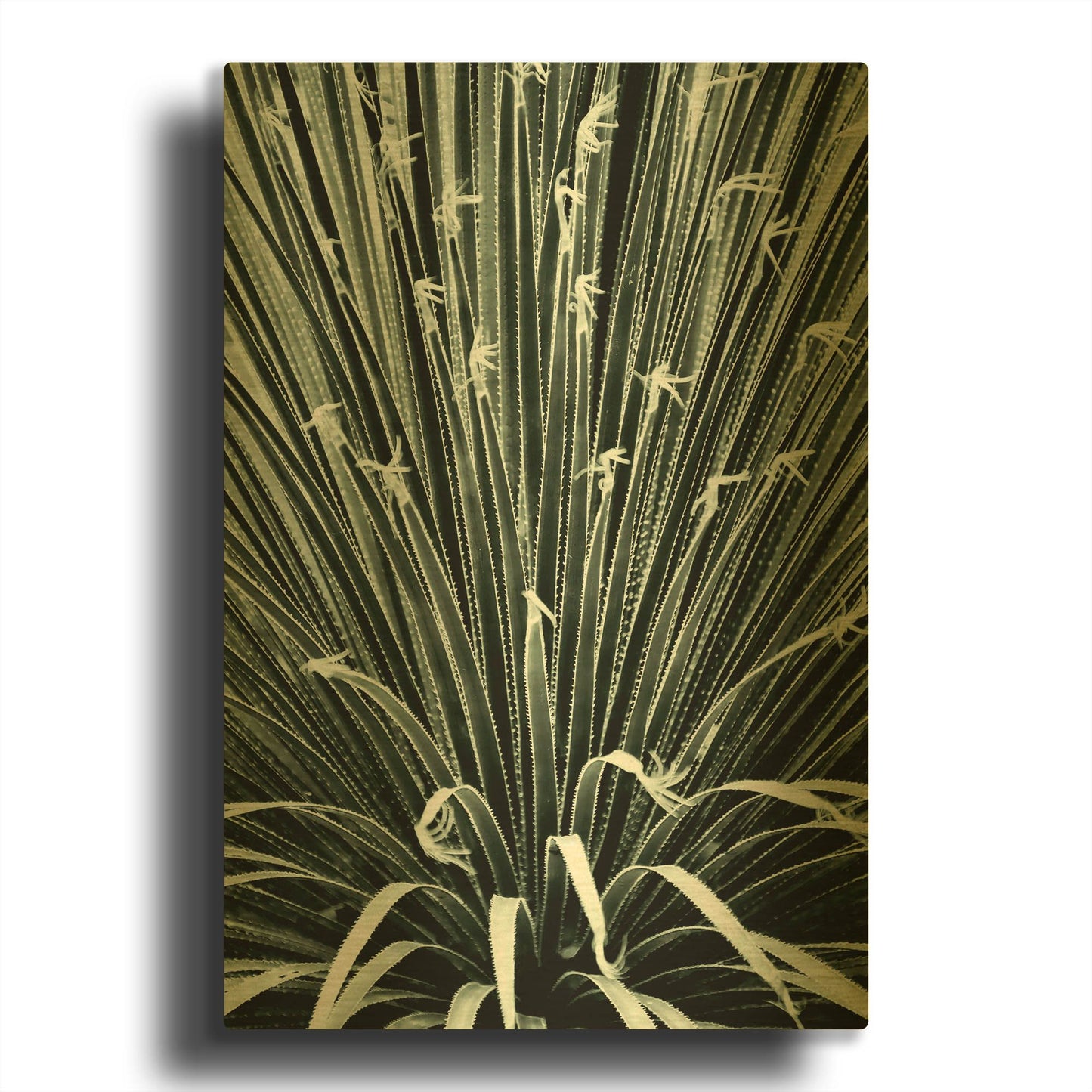 'Leaf V' By Incado Gold Metal Wall Art