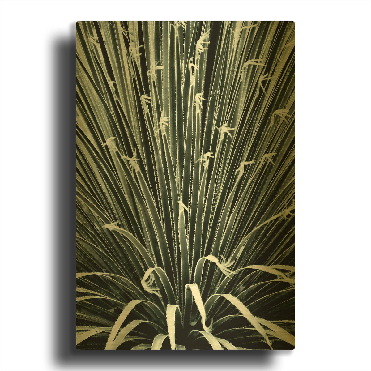 'Leaf V' By Incado Gold Metal Wall Art