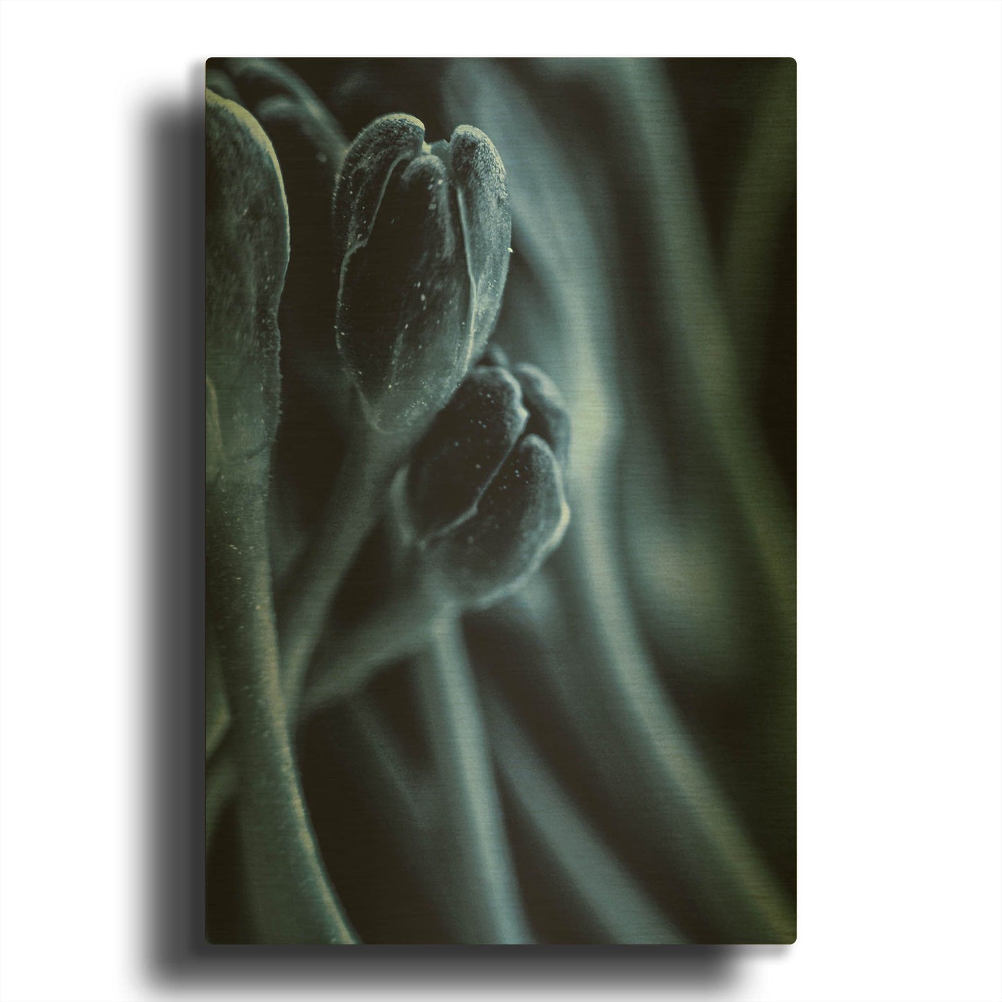 'Leaf VII' By Incado Gold Metal Wall Art