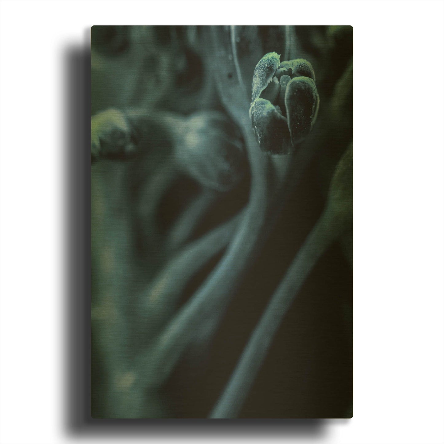'Leaf VIII' By Incado Gold Metal Wall Art