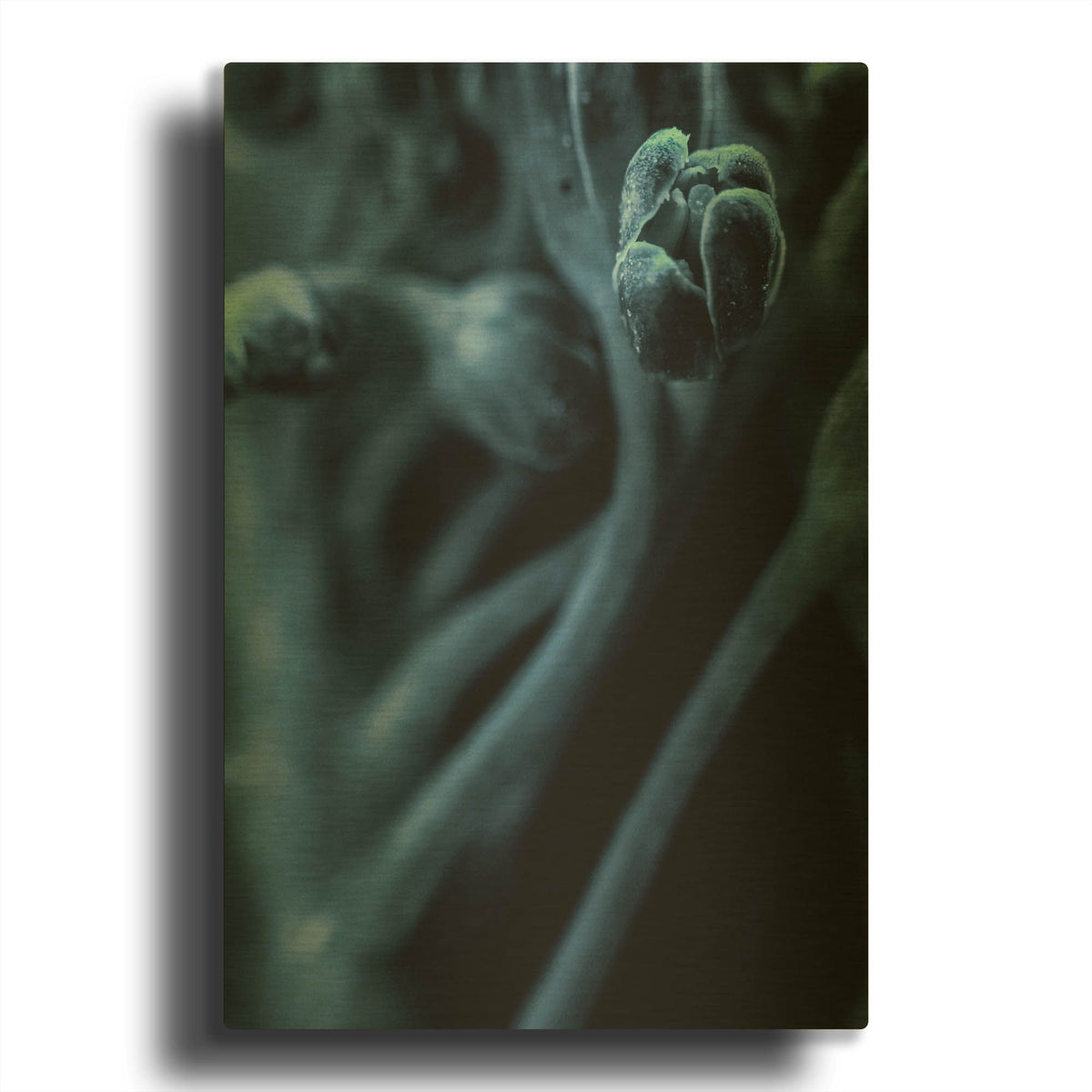 'Leaf VIII' By Incado Gold Metal Wall Art