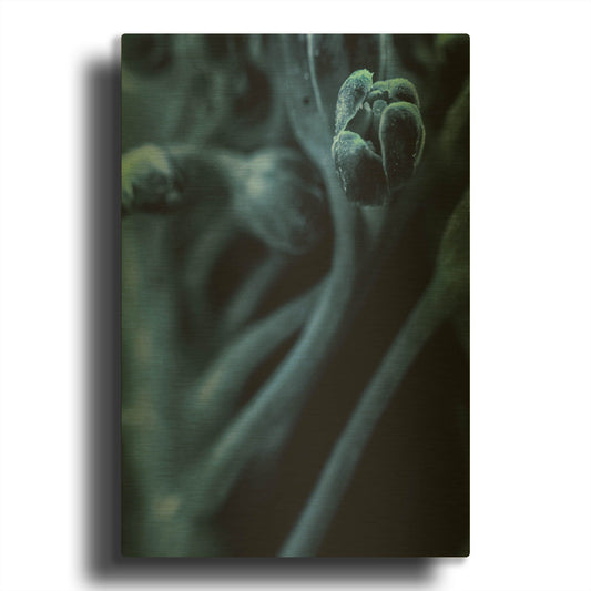 'Leaf VIII' By Incado Gold Metal Wall Art