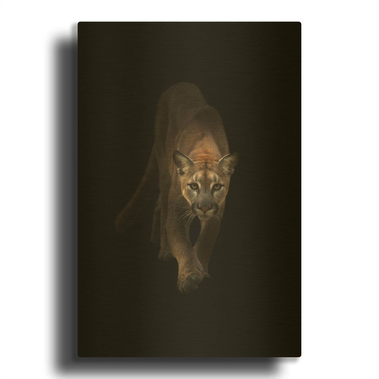 'Lion' By Incado Gold Metal Wall Art