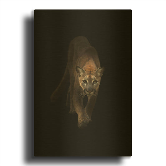 'Lion' By Incado Gold Metal Wall Art