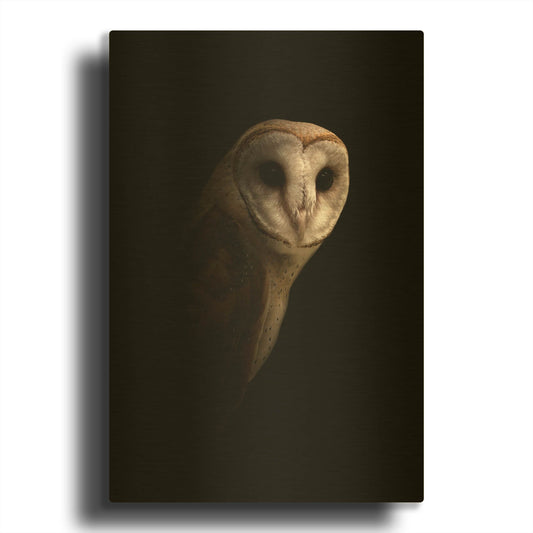 'Owl' By Incado Gold Metal Wall Art