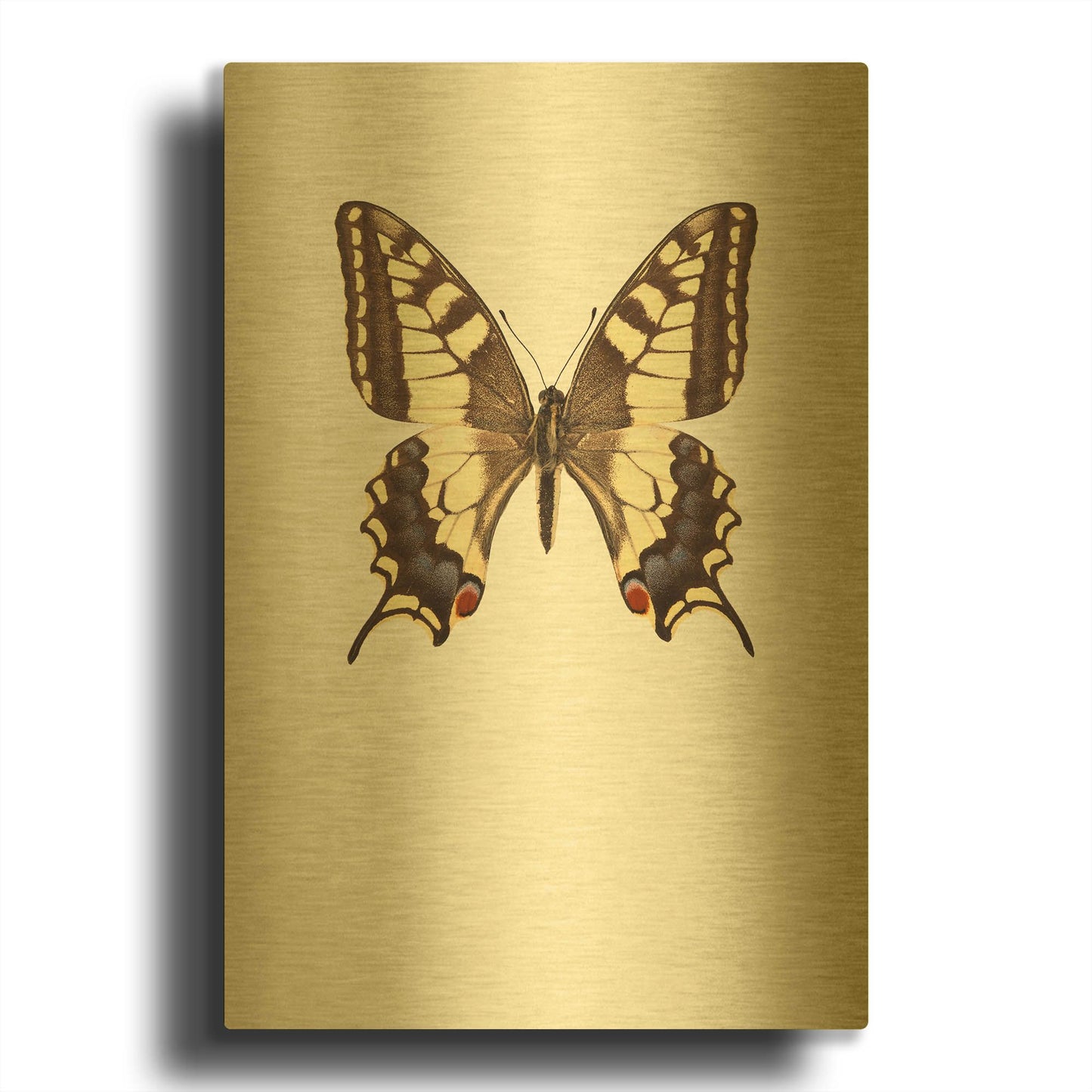 'Papilio Machaon' By Incado Gold Metal Wall Art