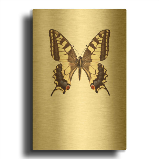 'Papilio Machaon' By Incado Gold Metal Wall Art