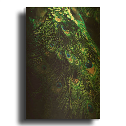 'Peacock Tail' By Incado Gold Metal Wall Art
