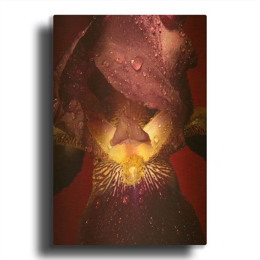 'Red Flower' By Incado Gold Metal Wall Art