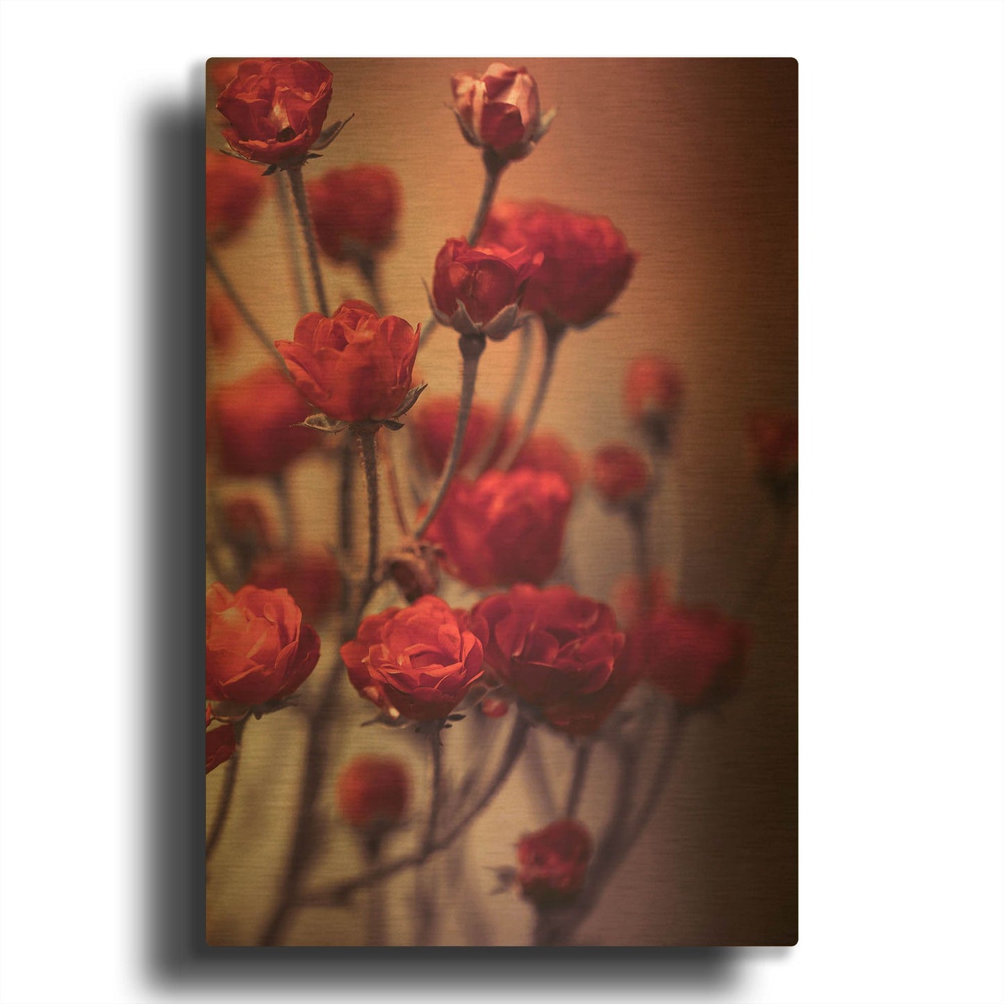 'Red Flowers' By Incado Gold Metal Wall Art