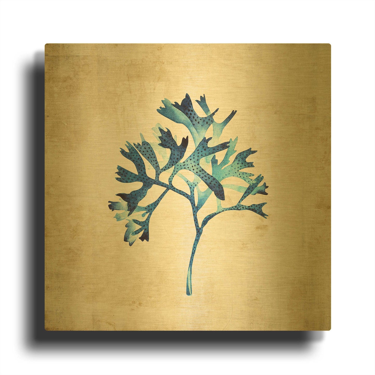 'Sea Life I' By Incado Gold Metal Wall Art