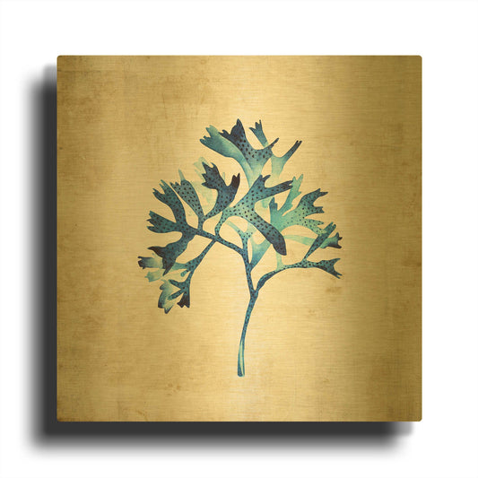 'Sea Life I' By Incado Gold Metal Wall Art