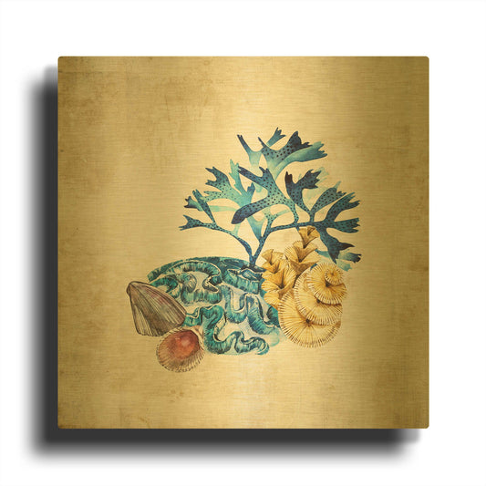 'Sea Life II' By Incado Gold Metal Wall Art