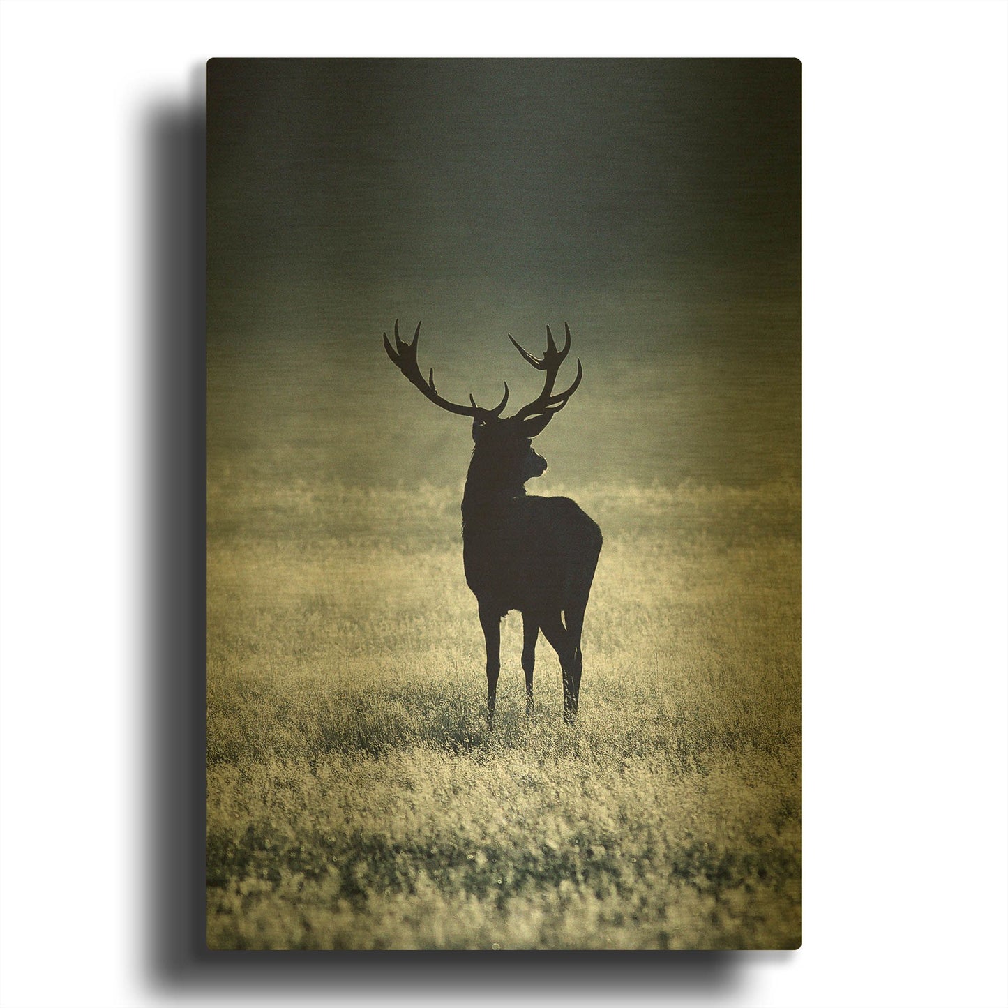 'Silhouette Deer' By Incado Gold Metal Wall Art