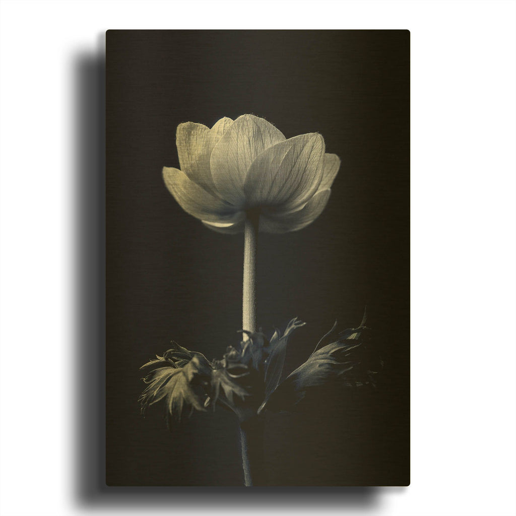 'Single Flower' By Incado Gold Metal Wall Art