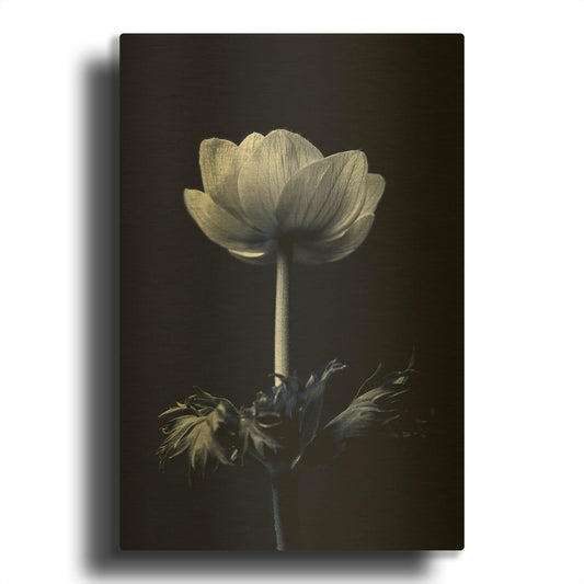 'Single Flower' By Incado Gold Metal Wall Art