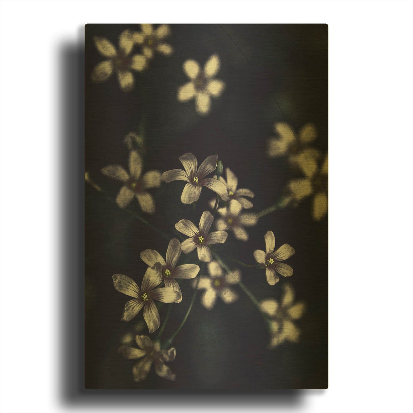 'Small Flowers' By Incado Gold Metal Wall Art