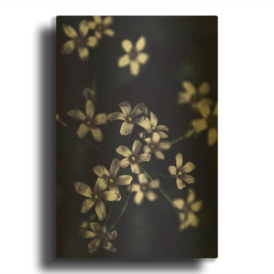 'Small Flowers' By Incado Gold Metal Wall Art