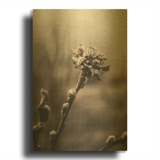 'Spring' By Incado Gold Metal Wall Art