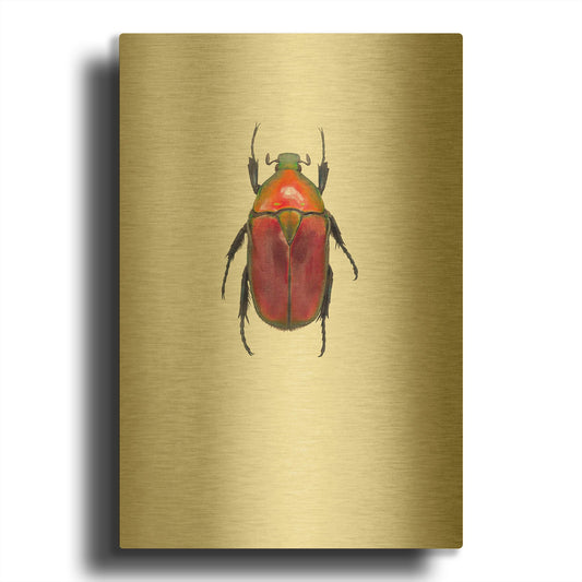 'Torynorrhina Flammea' By Incado Gold Metal Wall Art