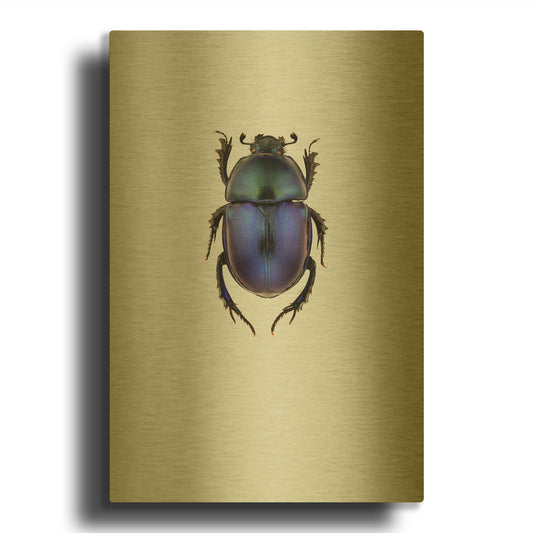 'Trypocopris Vernalis' By Incado Gold Metal Wall Art