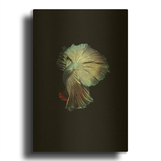 'Turquoise and Red Betta' By Incado Gold Metal Wall Art