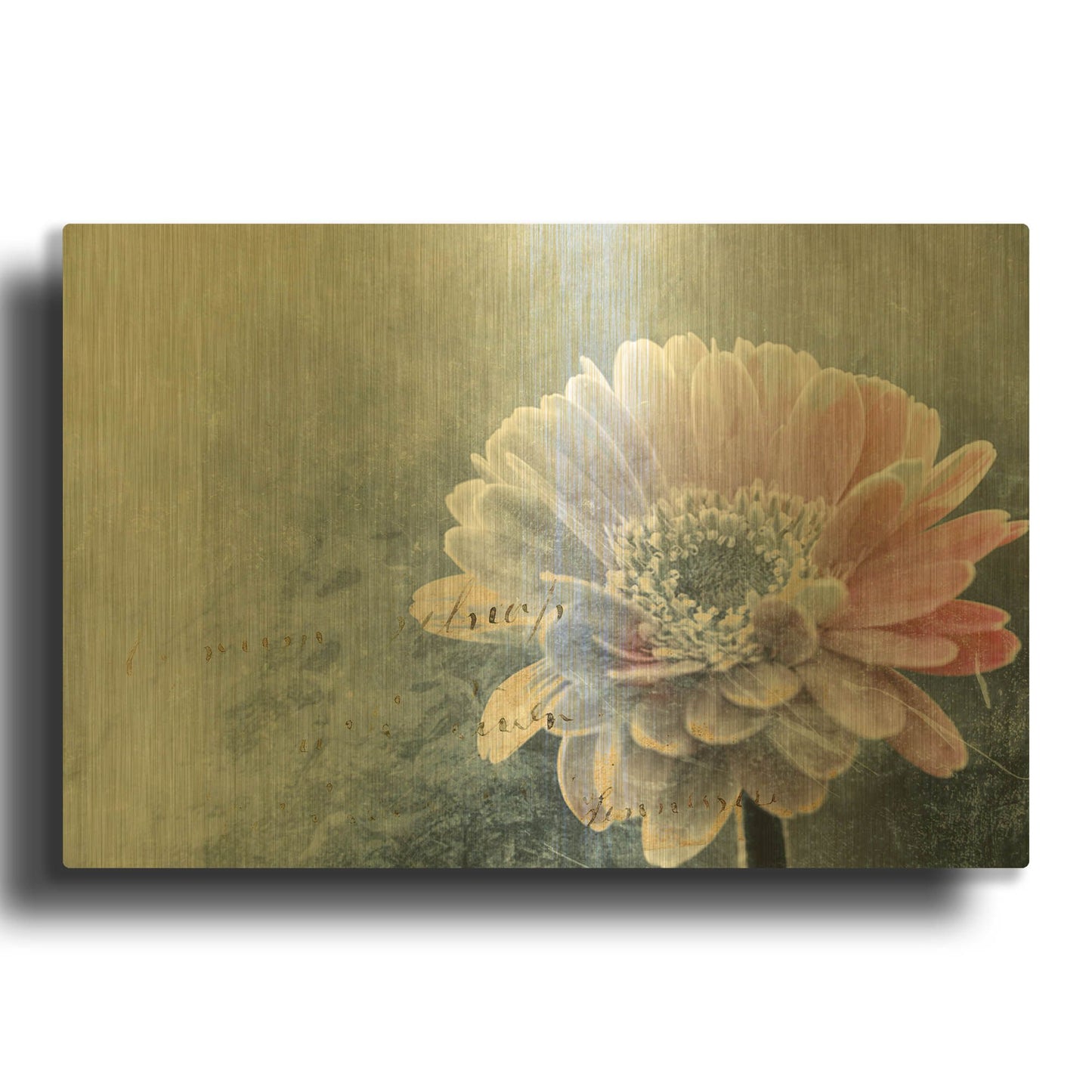 'Winter Flower' By Incado Gold Metal Wall Art