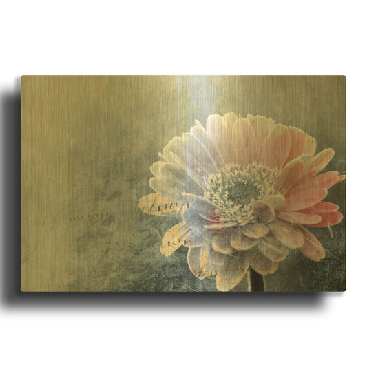 'Winter Flower' By Incado Gold Metal Wall Art