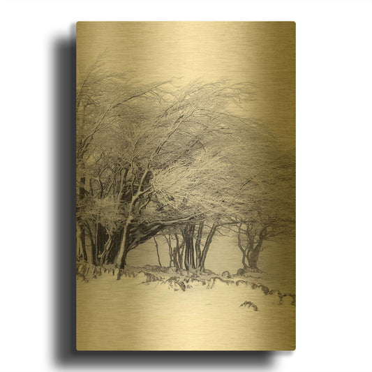 'Winter Storm' By Incado Gold Metal Wall Art