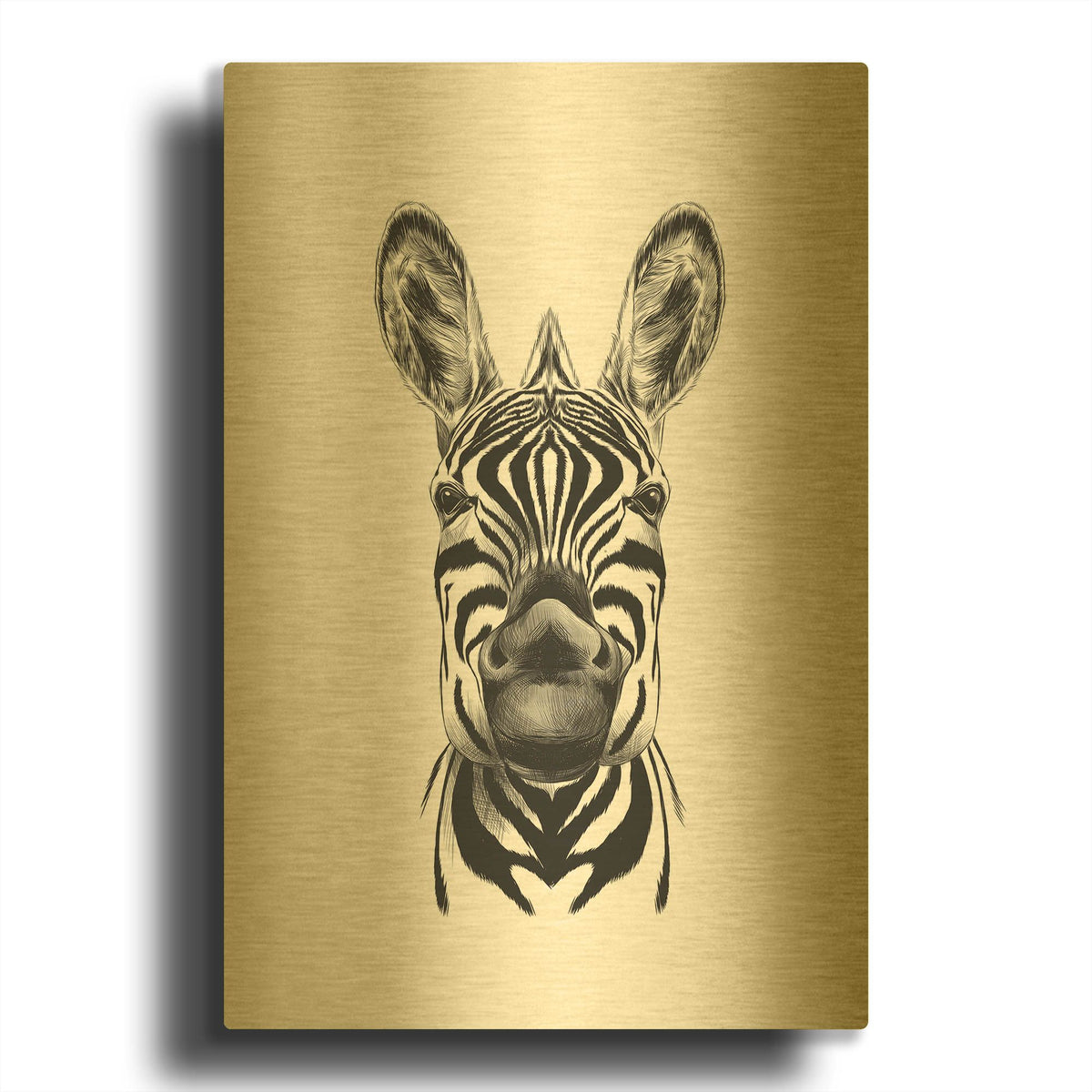 'Zebra Illustration' By Incado Gold Metal Wall Art