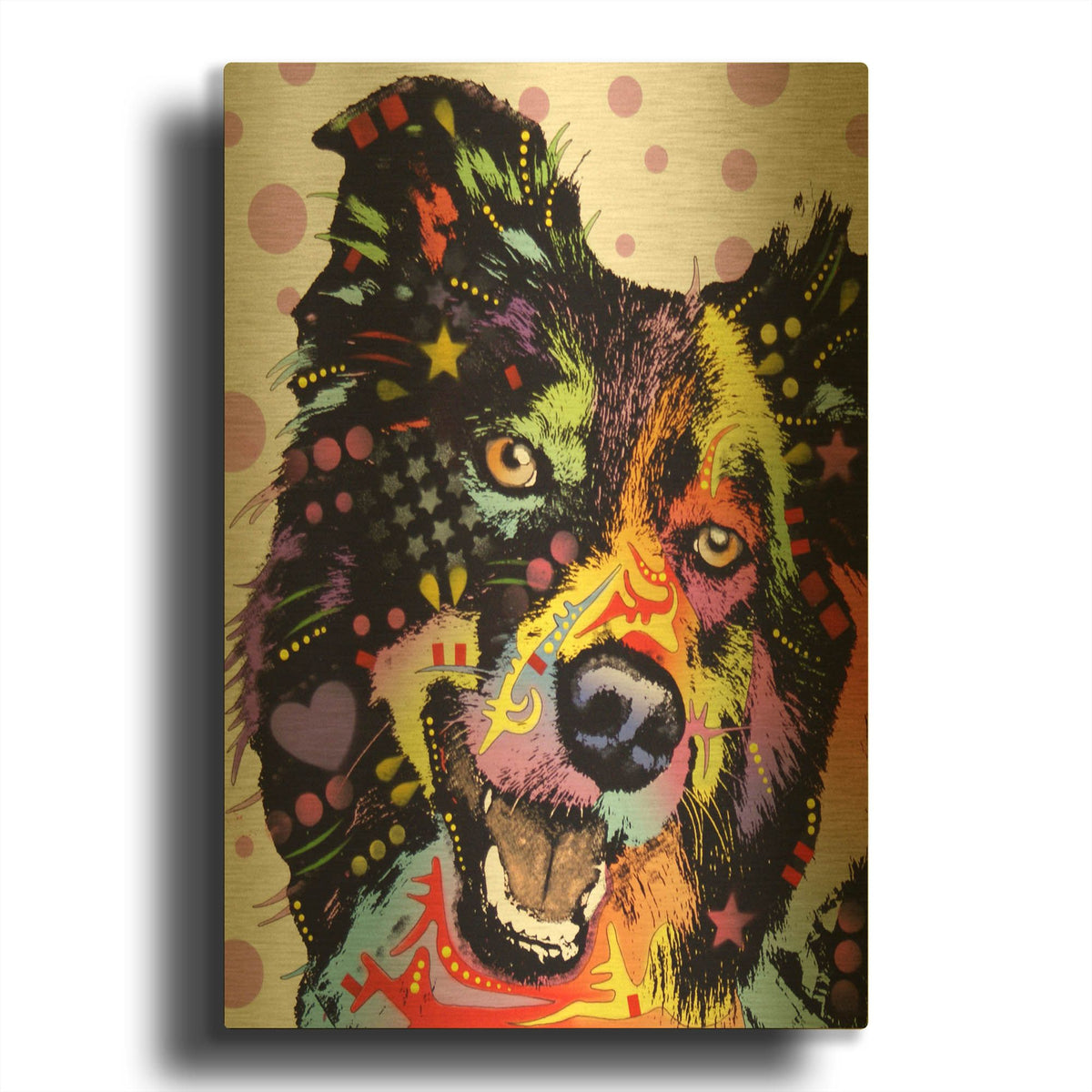 'Border Collie 1' By Dean Russo Gold Metal Wall Art