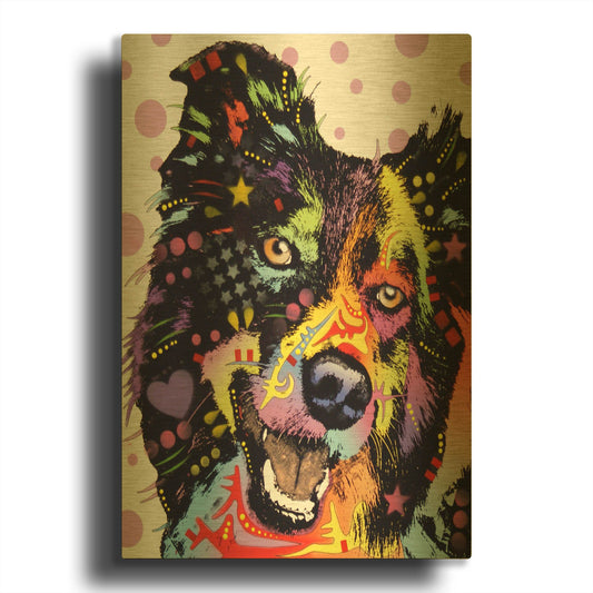 'Border Collie 1' By Dean Russo Gold Metal Wall Art