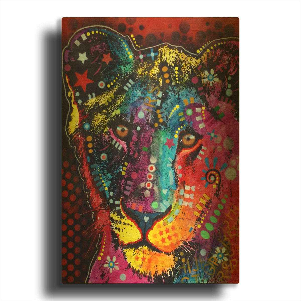 'Young Lion' By Dean Russo Gold Metal Wall Art