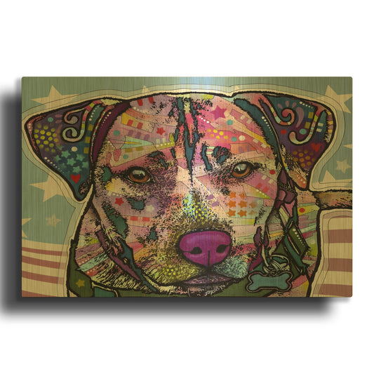 'Dakota 1' By Dean Russo Gold Metal Wall Art