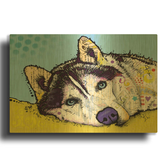 'Siberian Husky 2' By Dean Russo Gold Metal Wall Art