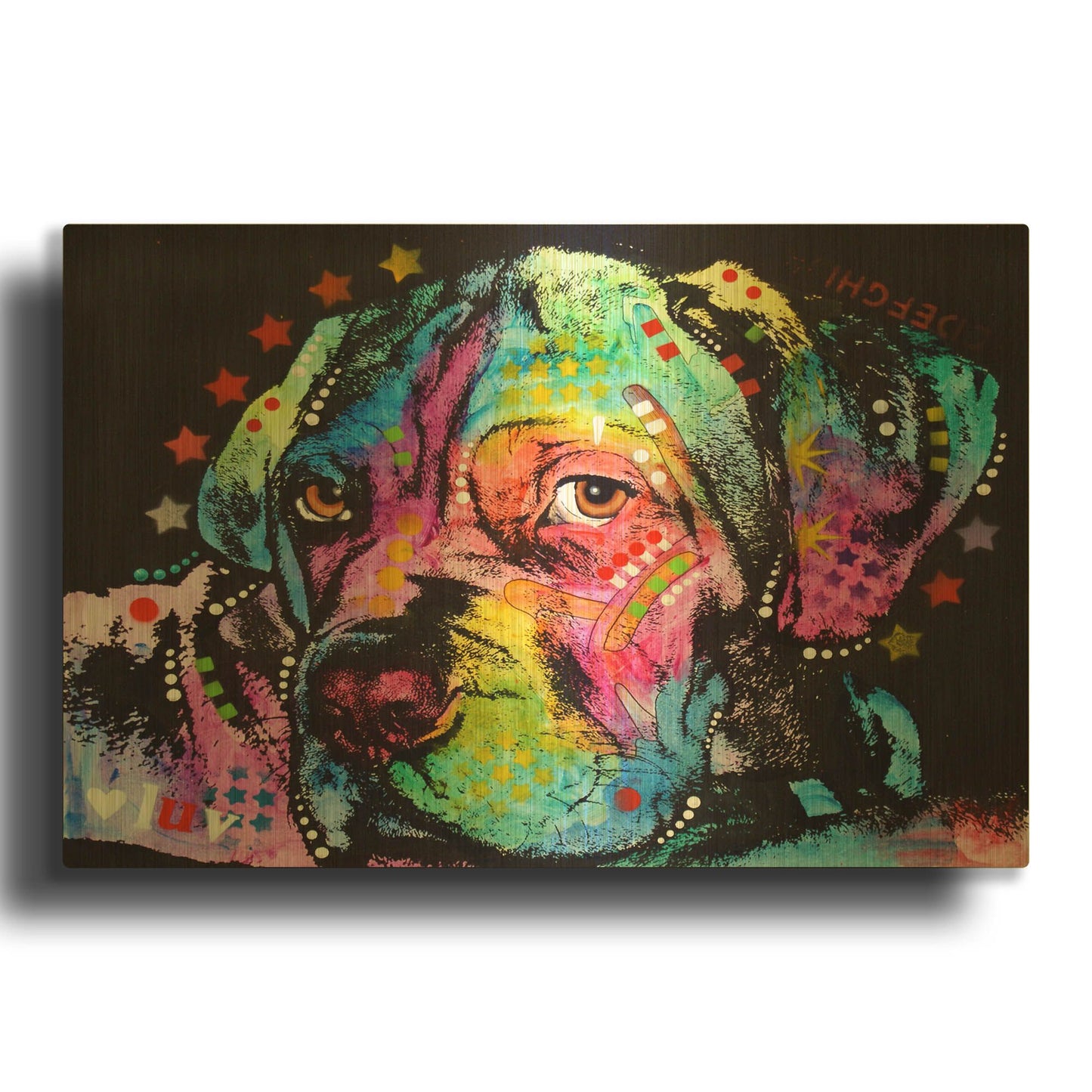 'Young Mastiff' By Dean Russo Gold Metal Wall Art