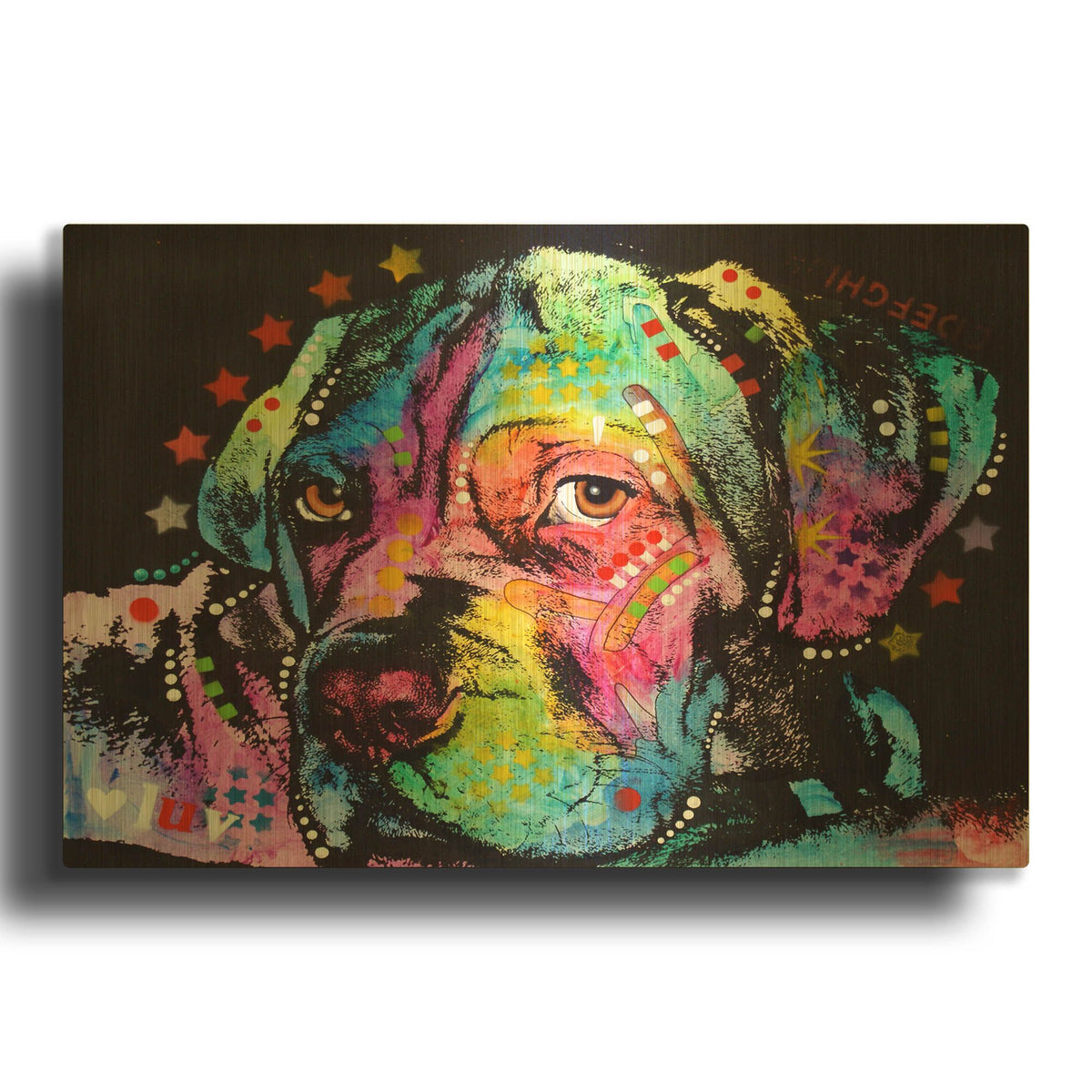 'Young Mastiff' By Dean Russo Gold Metal Wall Art