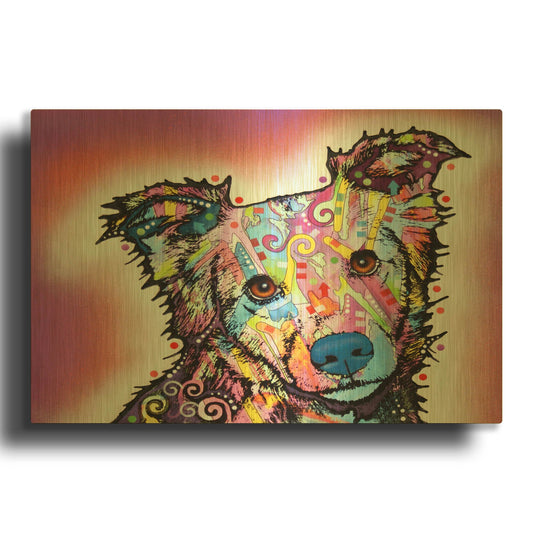'Collied' By Dean Russo Gold Metal Wall Art