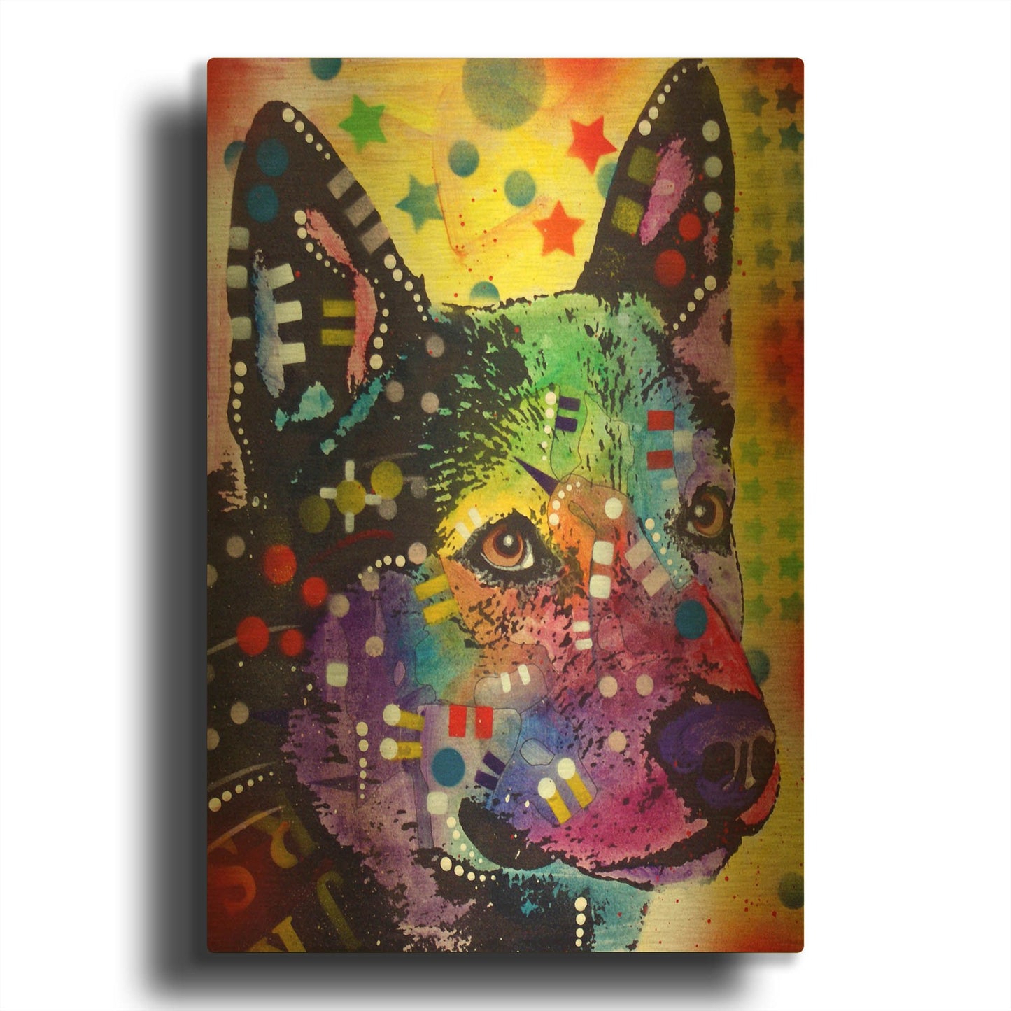 'Aus Cattle Dog' By Dean Russo Gold Metal Wall Art