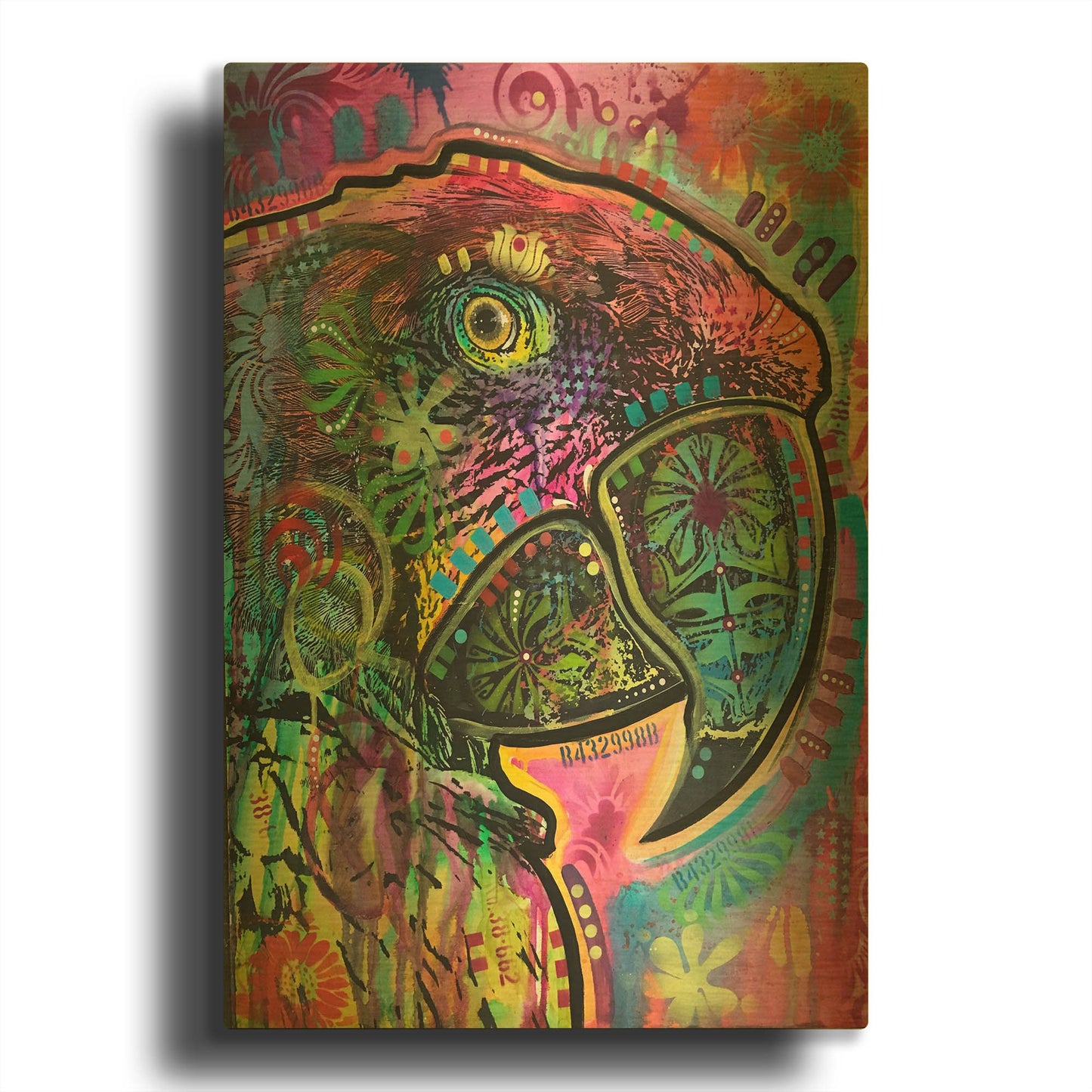 'Close Up Parrot' By Dean Russo Gold Metal Wall Art